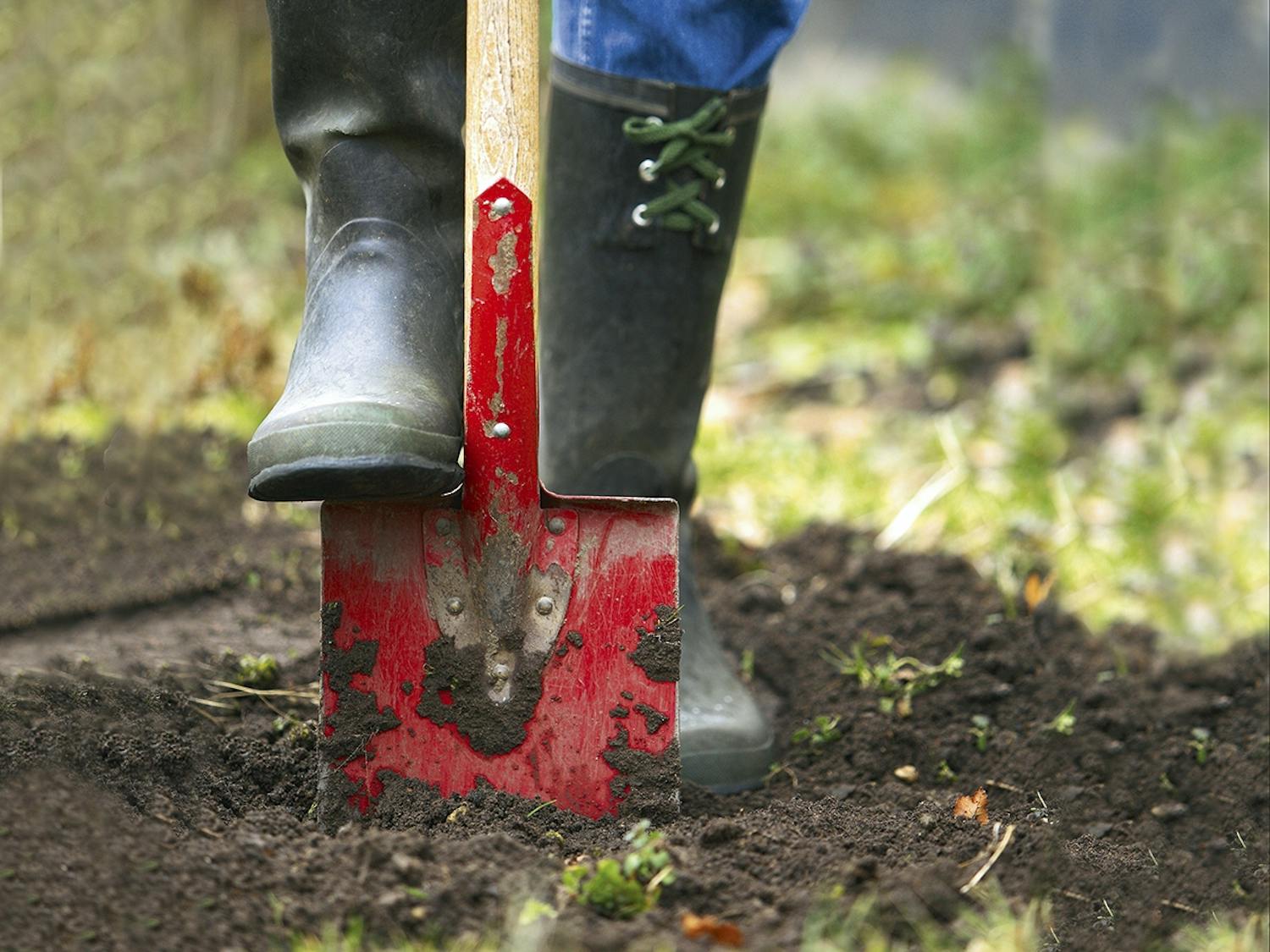 Spade graver haveredskaber